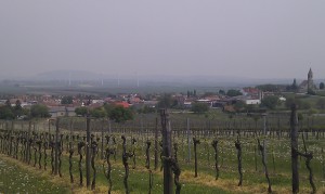 Wind und Wein der Antrieb Niederösterreichs