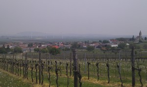 Wind und Wein der Antrieb Niederösterreichs